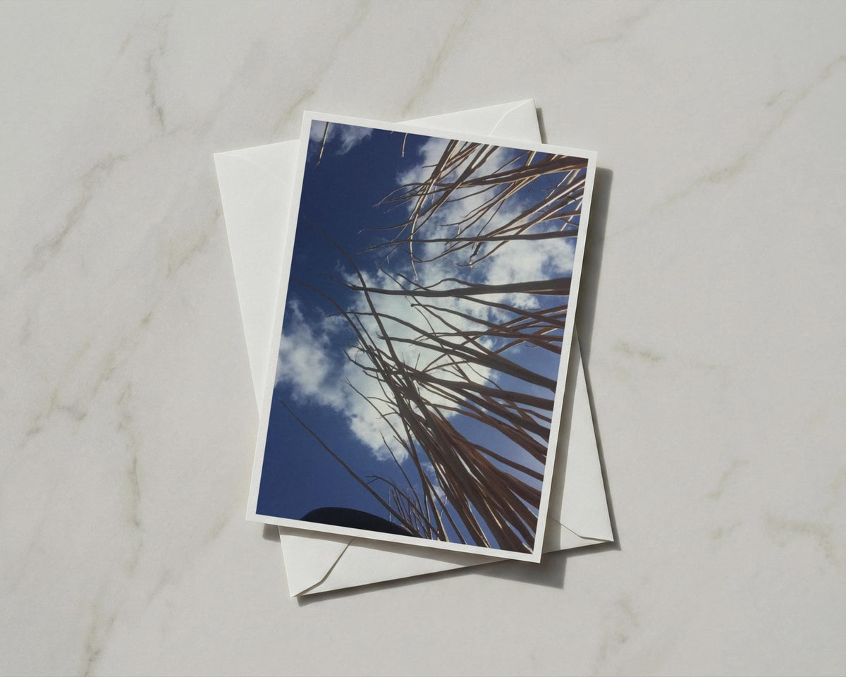 Dried Grass Blue Sky Card, Nature Photography, Botanical A6 Card with Envelope