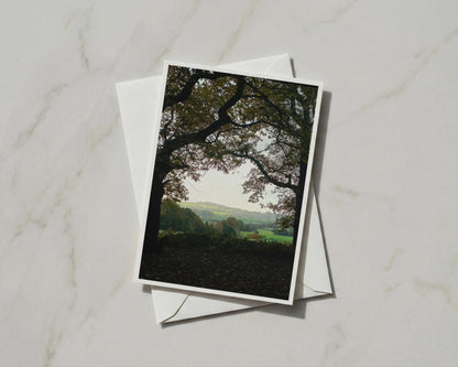Autumn Trees Countryside View Card, English Rural Landscape, Nature A6 Greeting Card