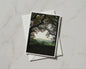 Autumn Trees Countryside View Card, English Rural Landscape, Nature A6 Greeting Card