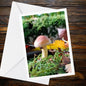 Two-Colored Bolete Fungi Greeting Card | Nature, Woodland, Botanical, Mushroom, Forest, Mycology, FSC Certified, Handmade, All Occasion Card