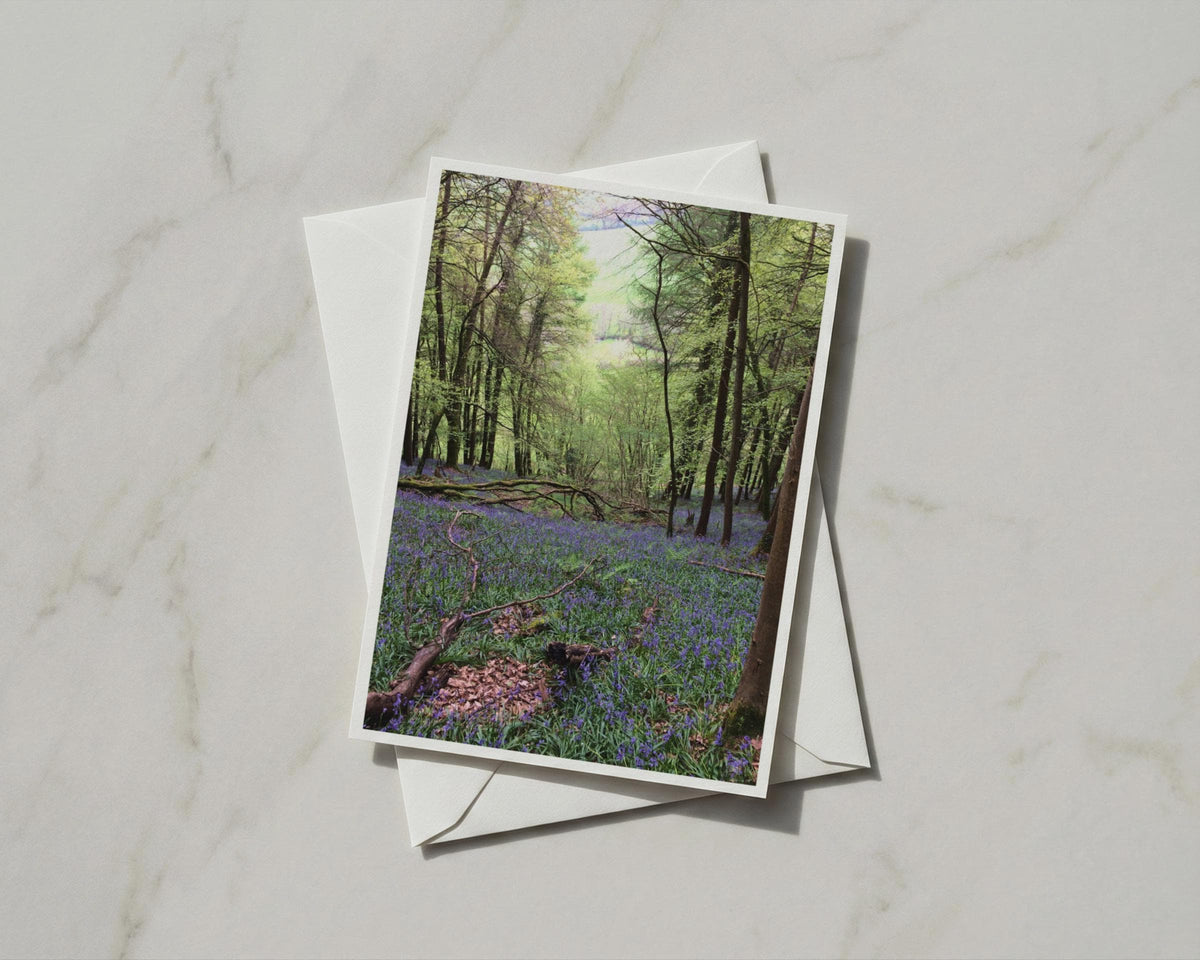 Bluebell Wood A6 Card, British Spring Forest Greeting Card, Nature Photography
