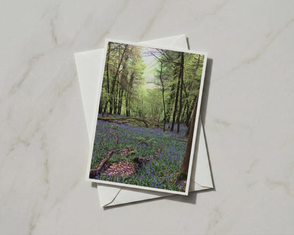 Bluebell Wood A6 Card, British Spring Forest Greeting Card, Nature Photography