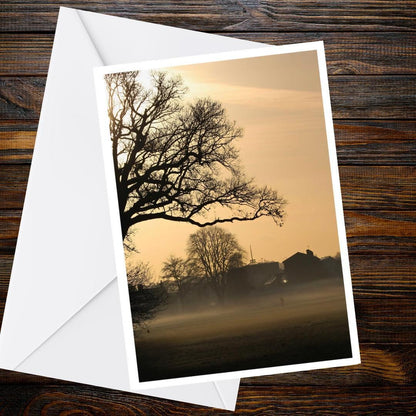 Ancient Oak Tree Greetings Card | Cowick Barton Exeter | Blank Devon Card
