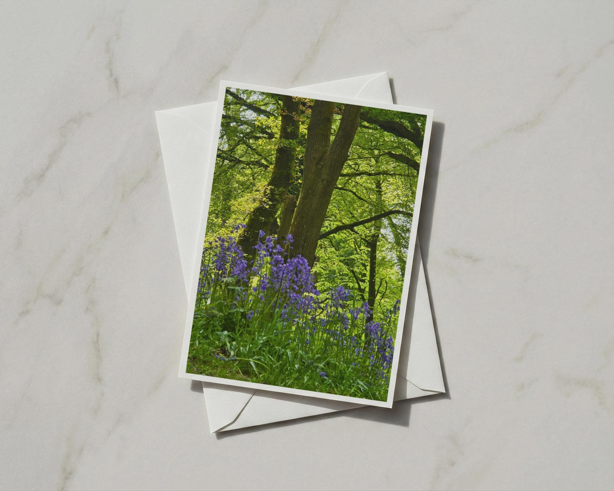 Bluebell Wood Greeting Card, Spring Forest Trees, British Woodland Nature Card