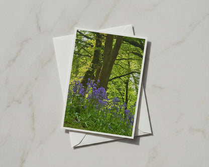 Bluebell Wood Greeting Card, Spring Forest Trees, British Woodland Nature Card