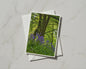Bluebell Wood Greeting Card, Spring Forest Trees, British Woodland Nature Card