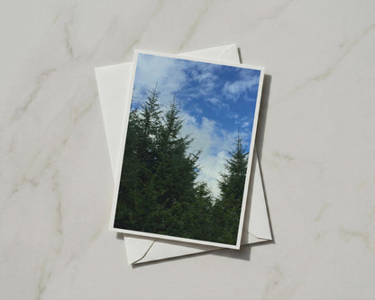 Evergreen Trees and Blue Sky Card, Forest Nature Greeting Card, Woodland Scene