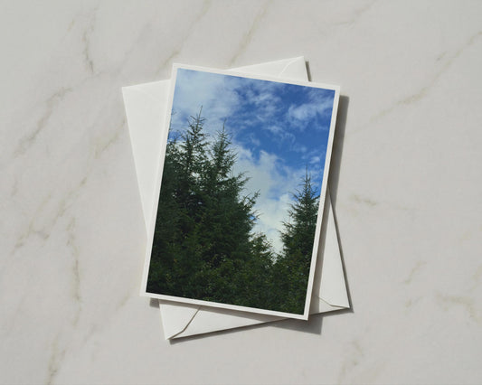 Evergreen Trees and Blue Sky Card, Forest Nature Greeting Card, Woodland Scene