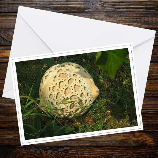 Sculpted puffball fungi greeting card, woodland scene botanical art, eco-friendly paper, nature-inspired mushroom photo, whimsical forest