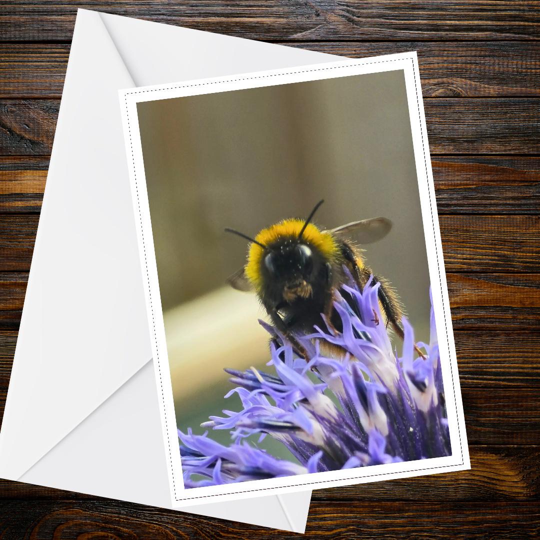 Bumblebee on Echinops Flower Card, Nature Pollinator Greeting, Garden Wildlife Card, Blue Spiky Bloom, Handmade FSC Certified UK Card