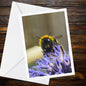 Bumblebee on Echinops Flower Card, Nature Pollinator Greeting, Garden Wildlife Card, Blue Spiky Bloom, Handmade FSC Certified UK Card