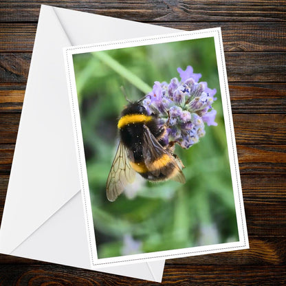 Bumblebee on Lavender Card | Nature Greeting, Pollinator Card, Garden Wildlife, Handcrafted UK, Blank Inside, Fragrant Floral, Calming Gift