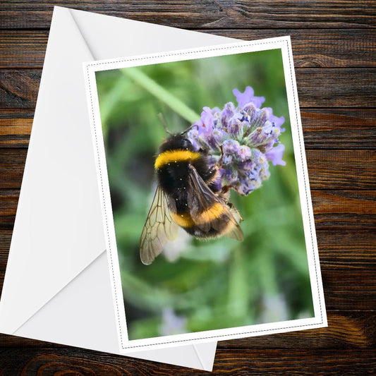 Bumblebee on Lavender Card | Nature Greeting, Pollinator Card, Garden Wildlife, Handcrafted UK, Blank Inside, Fragrant Floral, Calming Gift