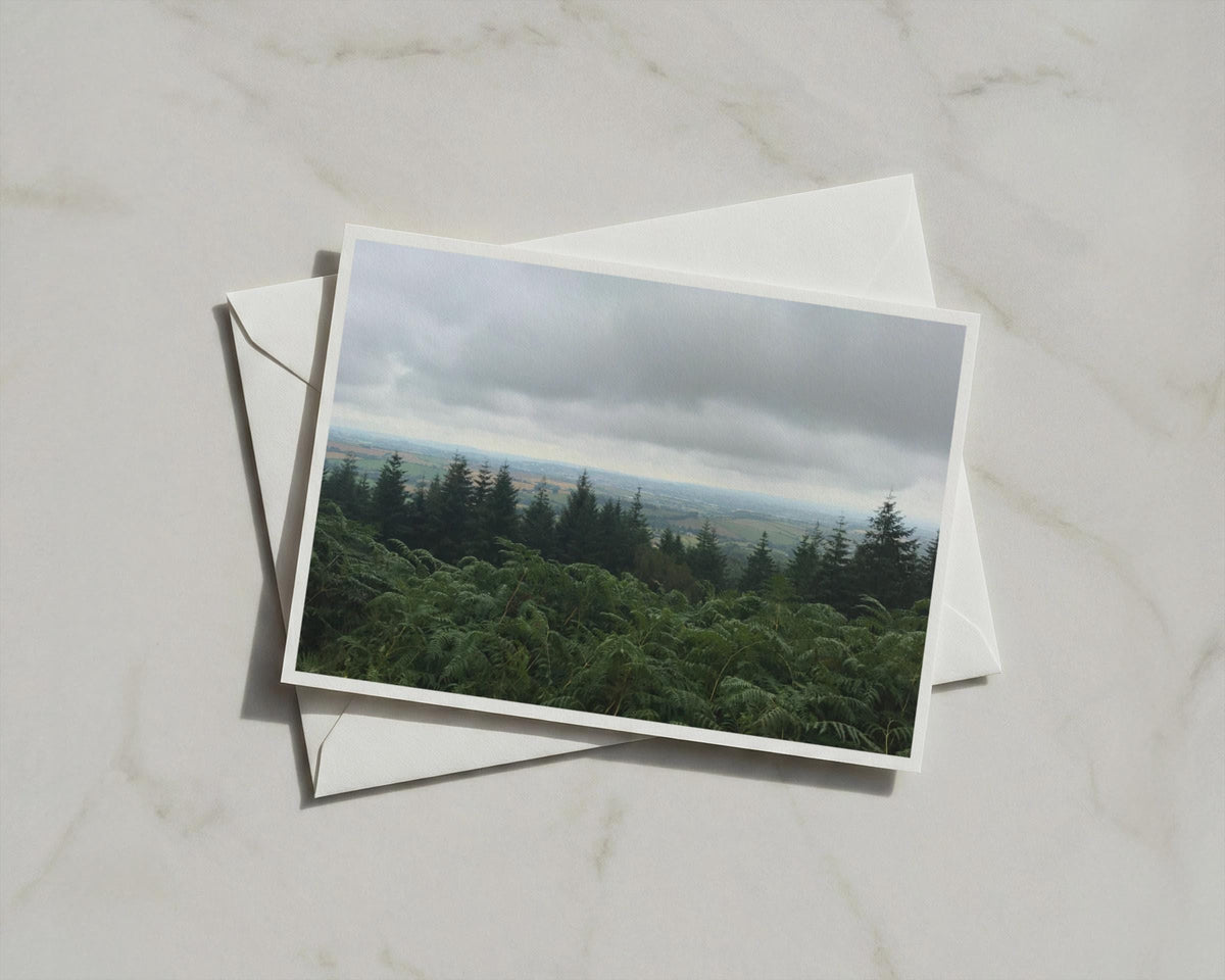 Dartmoor Forest Landscape Poster, Trees and Ferns Wall Art, Moody British Countryside Framed-Print, Devon Nature Photography Print