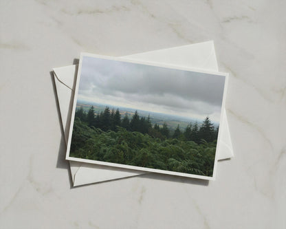 Dartmoor Forest Landscape Poster, Trees and Ferns Wall Art, Moody British Countryside Framed-Print, Devon Nature Photography Print