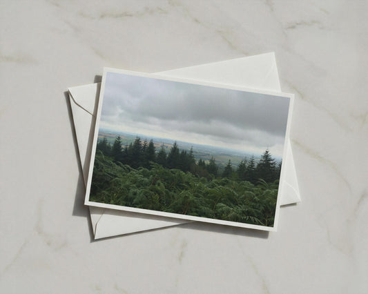 Dartmoor Forest Landscape Poster, Trees and Ferns Wall Art, Moody British Countryside Framed-Print, Devon Nature Photography Print