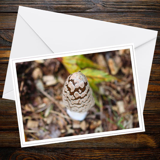 Magpie inkcap Fungi Greeting Card | Woodland Mushroom Nature Note Card | Botanical Wild Mushroom Gift | Eco-Friendly Wildlife Art Card
