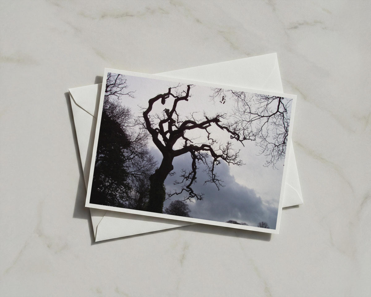 Twisted Tree Silhouette Poster, Bare Winter Branches Framed-Print, Dark Moody Landscape, Gothic Nature Wall Art, Stormy Sky Photography