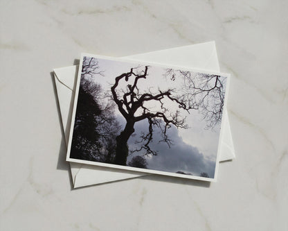 Twisted Tree Silhouette Poster, Bare Winter Branches Framed-Print, Dark Moody Landscape, Gothic Nature Wall Art, Stormy Sky Photography