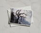 Twisted Tree Silhouette Poster, Bare Winter Branches Framed-Print, Dark Moody Landscape, Gothic Nature Wall Art, Stormy Sky Photography