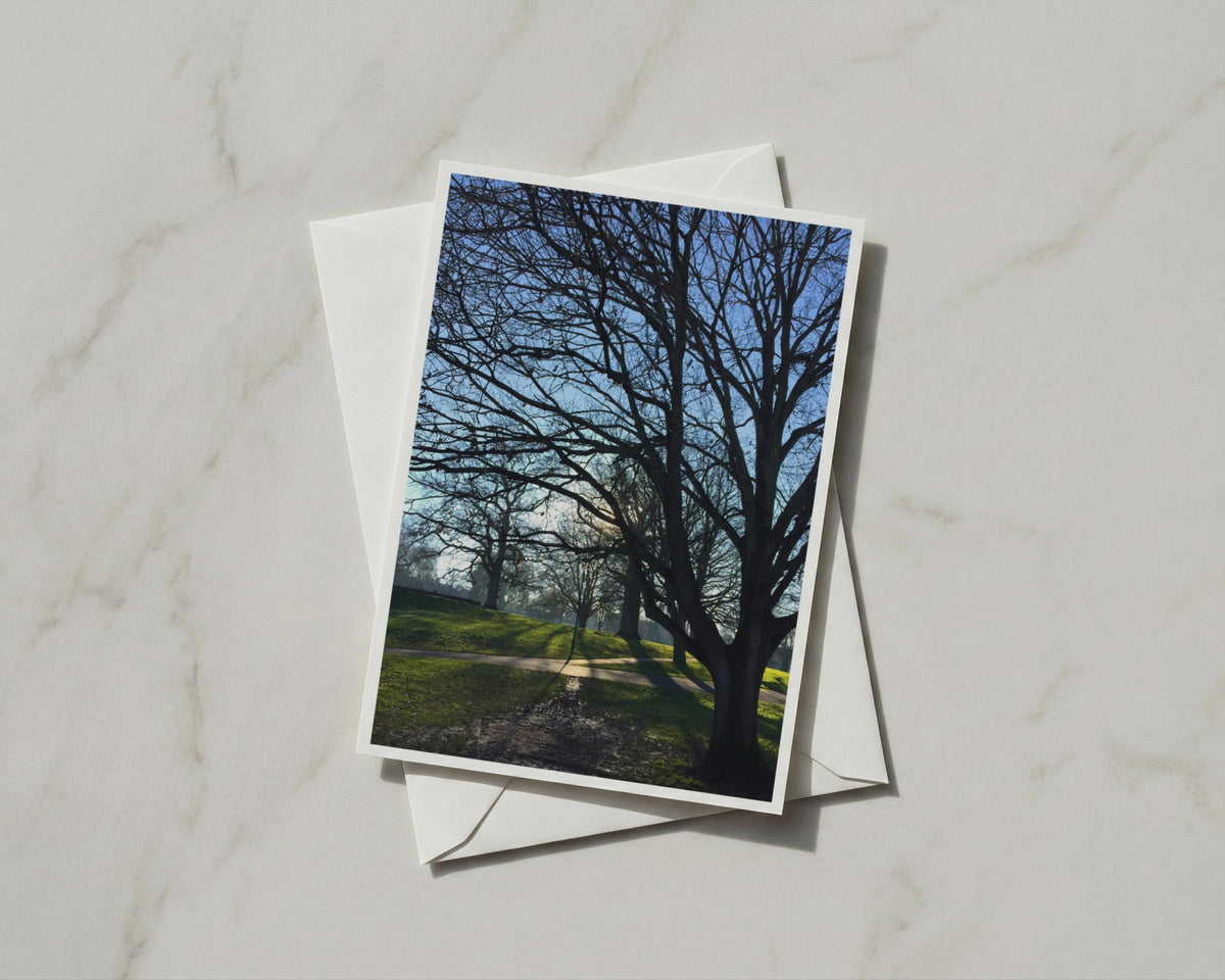 Winter Trees Park Card, Bare Branches Blue Sky, Nature Photography Greeting Card