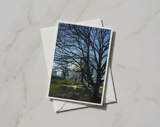 Winter Trees Park Card, Bare Branches Blue Sky, Nature Photography Greeting Card