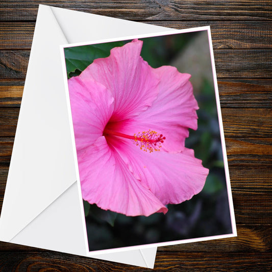 Pink Hibiscus A6 Greetings Card - Inspired by Eden Collection | Tropical Flower Photo