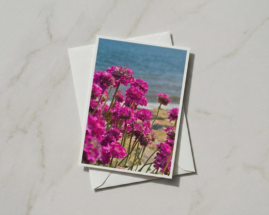 Sea Thrift Card, Pink Coastal Flowers, Armeria Maritima, British Seaside, A6 Card