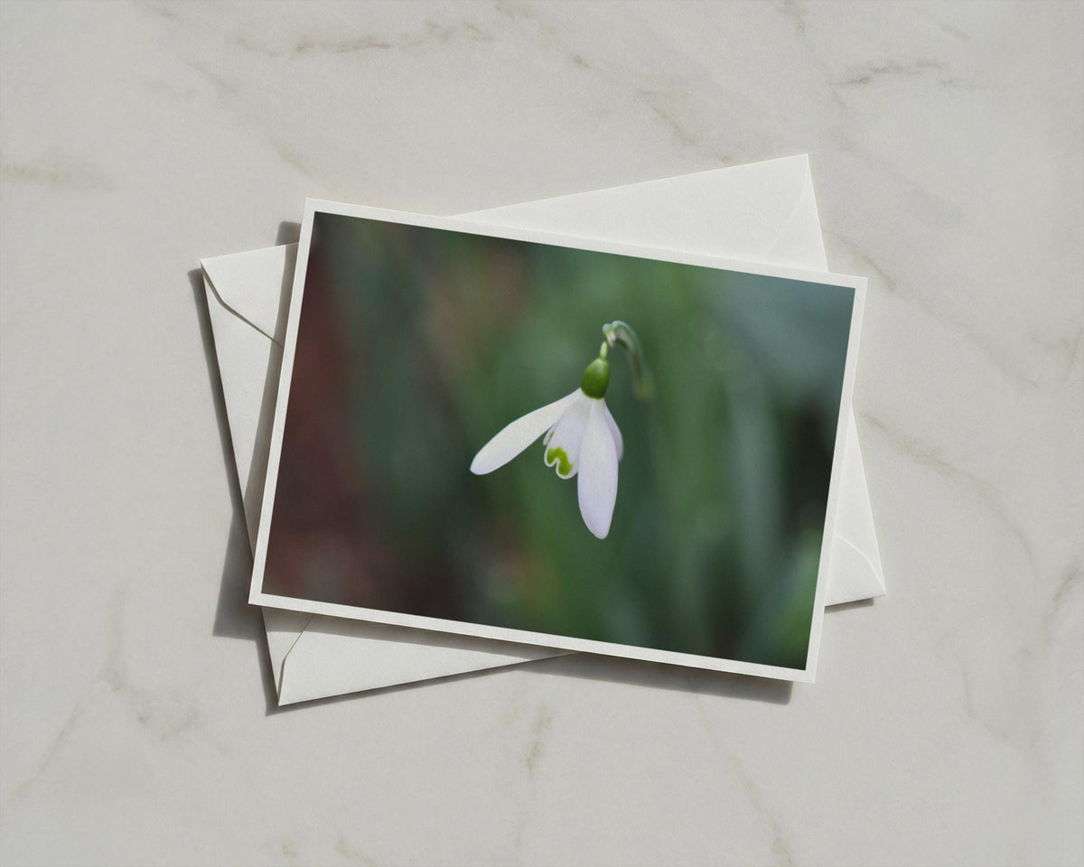 Snowdrop Flower Card, White Green Botanical A6 Card, Spring Floral Greeting Card, Garden Nature