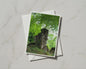 Ancient Stone Ruins in Forest Card, Mossy Wall Trees Nature, Woodland Greeting Card