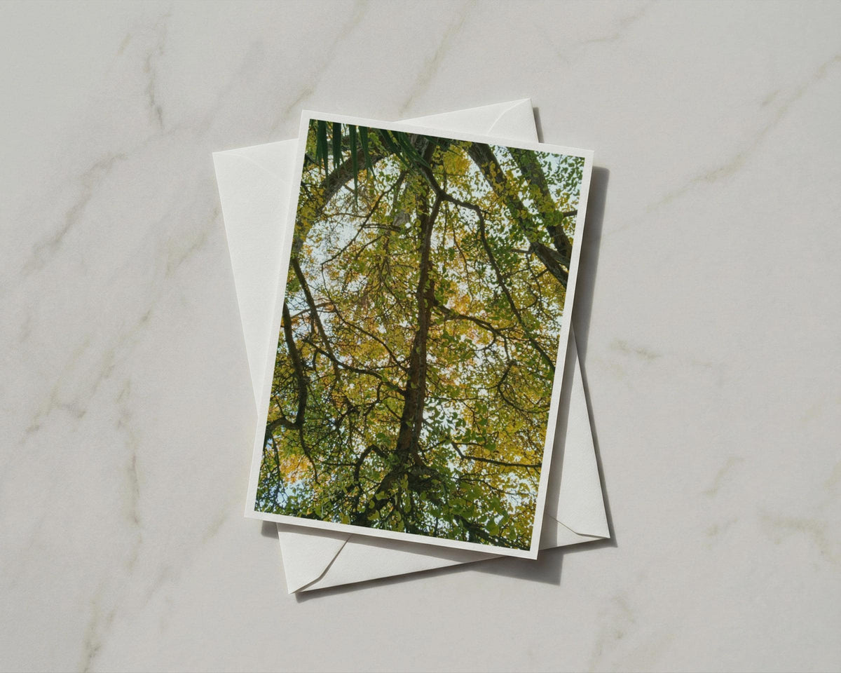Tree Canopy A6 Card, Looking Up Through Autumn Branches, Nature Photography Greeting Card