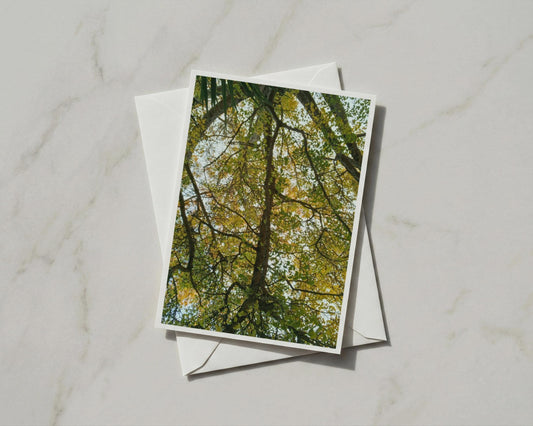Tree Canopy A6 Card, Looking Up Through Autumn Branches, Nature Photography Greeting Card