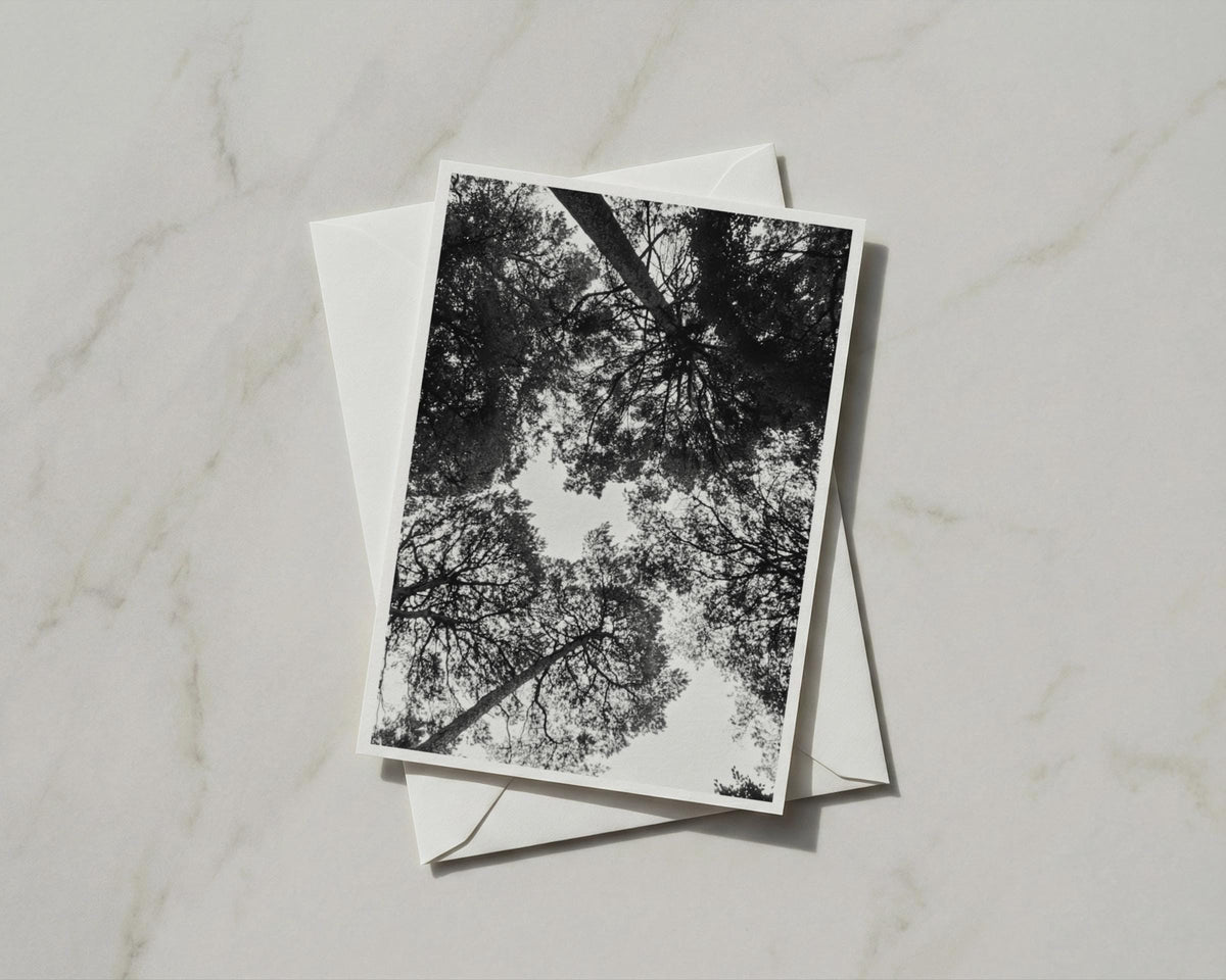 Tree Canopy Card, Black White Forest Photography, Looking Up Through Trees, A6 Greeting Card