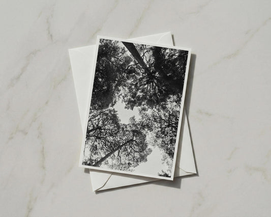 Tree Canopy Card, Black White Forest Photography, Looking Up Through Trees, A6 Greeting Card