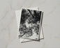 Tree Canopy Card, Black White Forest Photography, Looking Up Through Trees, A6 Greeting Card