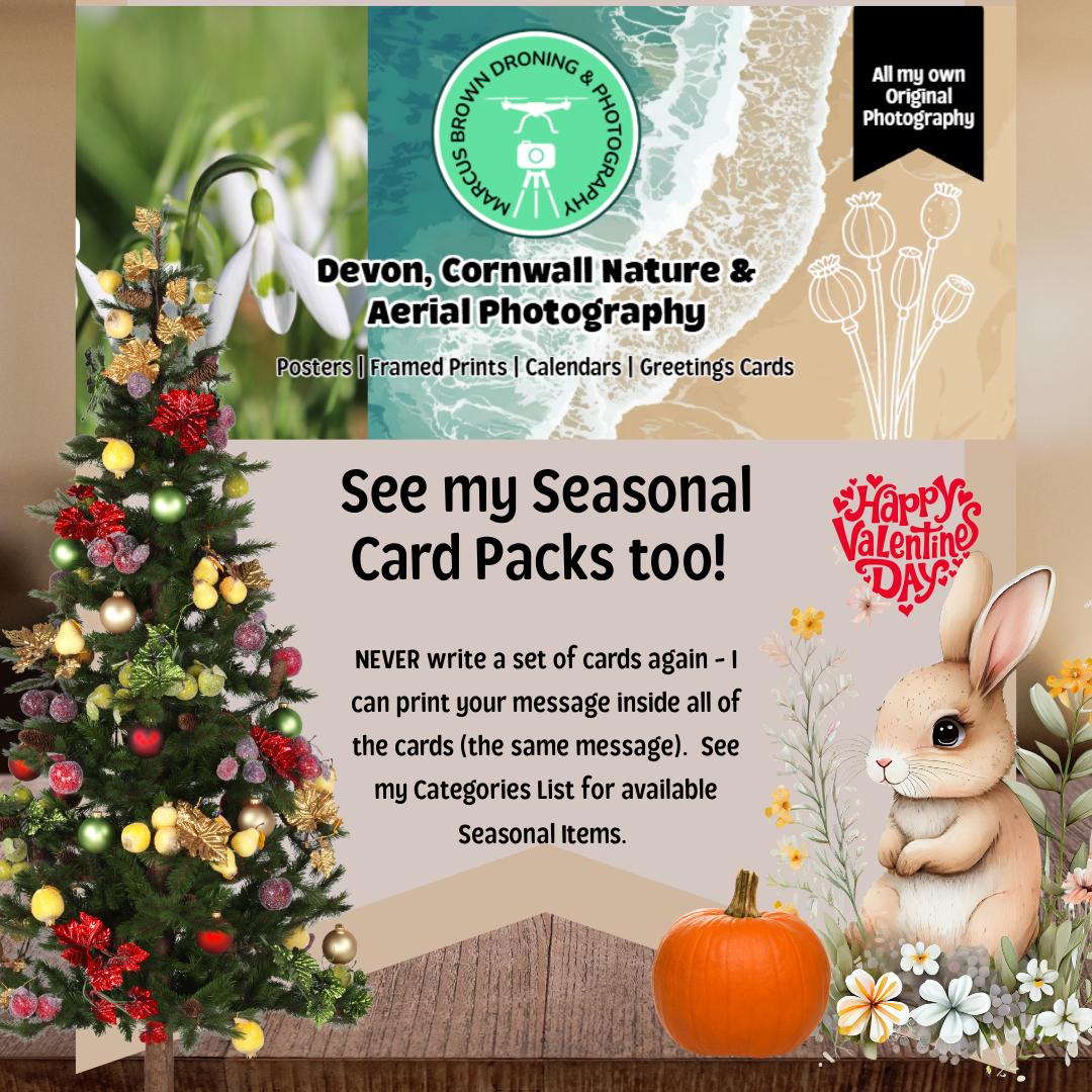 The image is a collage of various seasonal items, including a Christmas tree, a rabbit, flowers, and a pumpkin, along with text promoting Devon, Cornwall, and Aerial Photography.