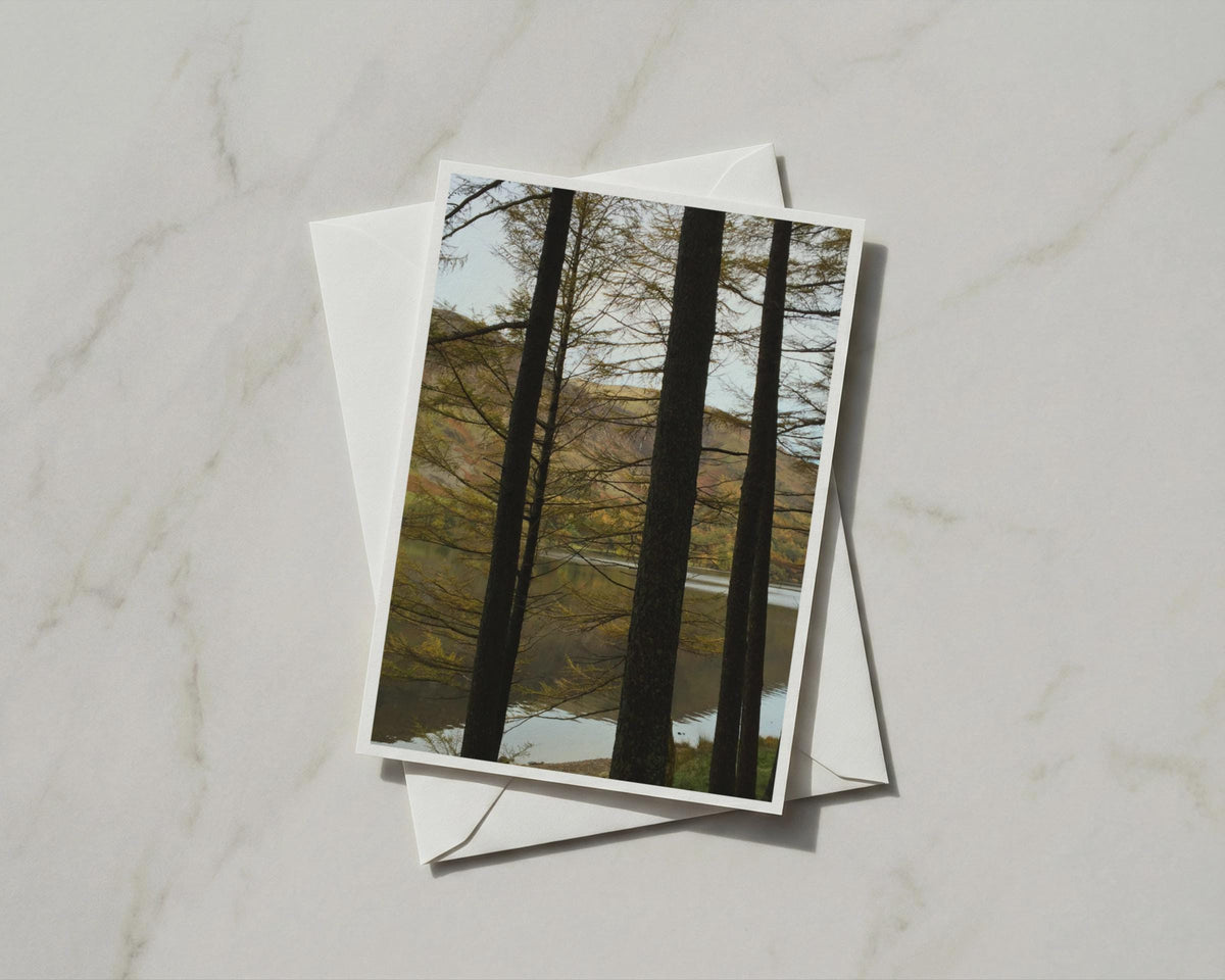 Autumn Trees Lake Card, Forest Loch Scottish Highlands, Nature Photography A6 Card