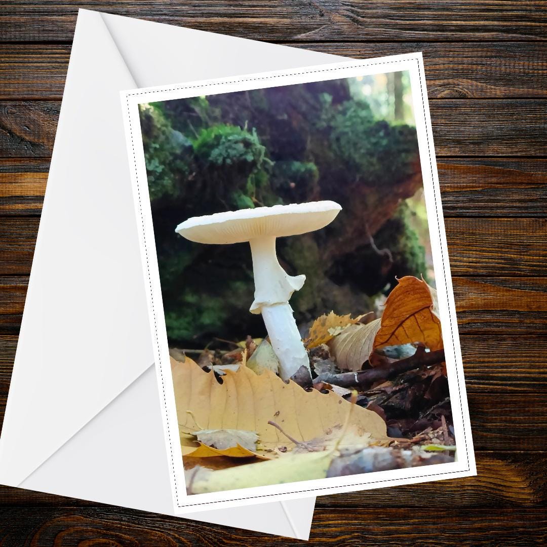 Destroying Angel Fungi Greeting Card | Botanical Mushroom Nature Card | Woodland Wildlife Illustration | Handmade FSC Certified Card