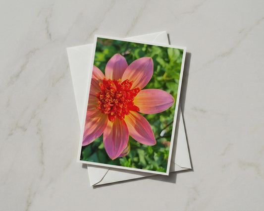Dahlia Flower Card, Pink Orange Red Bloom, Garden Floral A6 Card with Envelope