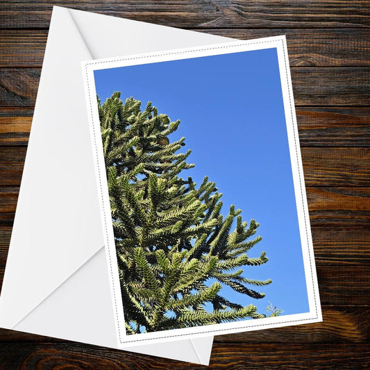 Monkey Puzzle Tree Card | Unique Botanical Greeting Card, Living Fossil Art, Tree Lover Gift, Handmade FSC Certified Card, Nature Occasion