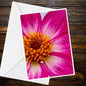 Dahlia Fuchsia Pink Greeting Card - Summer Flower Collection