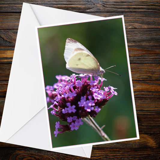 Large White Butterfly A6 Card | Purple Verbena Photo, Blank Greetings (Butterfly Collection)
