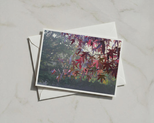 Japanese Maple Autumn Poster, Misty Forest Framed-Print, Red Leaves Wall Art, Fall Foliage Nature Photography Print, Dawn and Dusk