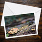 Sulphur Tuft Fungi Greeting Card | Botanical Woodland Mushrooms Nature Stationery | Eco Friendly Garden Lover Gift