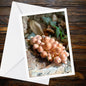Velvet Shank Fungi Greeting Card, Mushroom Nature Card, Botanical Woodland Illustration, All Occasion Handmade Card, FSC Certified Card