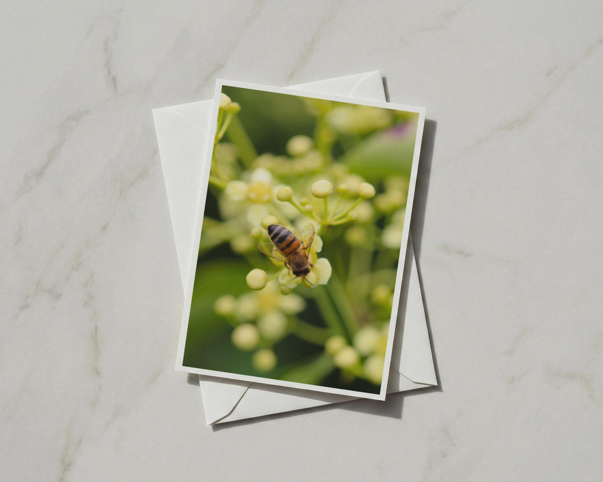 Honey Bee on Flowers Card, Wildlife Nature A6 Greeting Card, Blank Inside