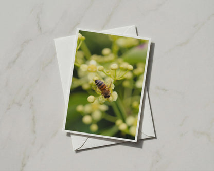 Honey Bee on Flowers Card, Wildlife Nature A6 Greeting Card, Blank Inside