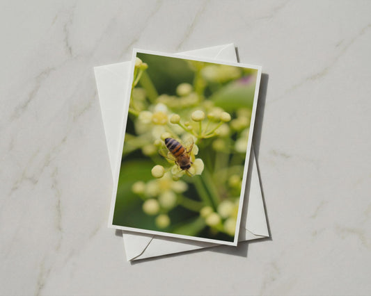 Honey Bee on Flowers Card, Wildlife Nature A6 Greeting Card, Blank Inside