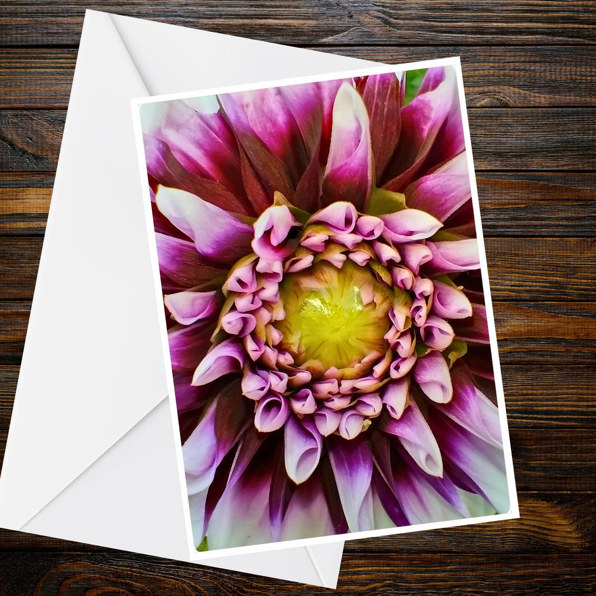 Dahlia Purple & Lilac Macro Greeting Card - Summer Flower Collection (A6)