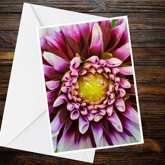 Dahlia Purple & Lilac Macro Greeting Card - Summer Flower Collection (A6)